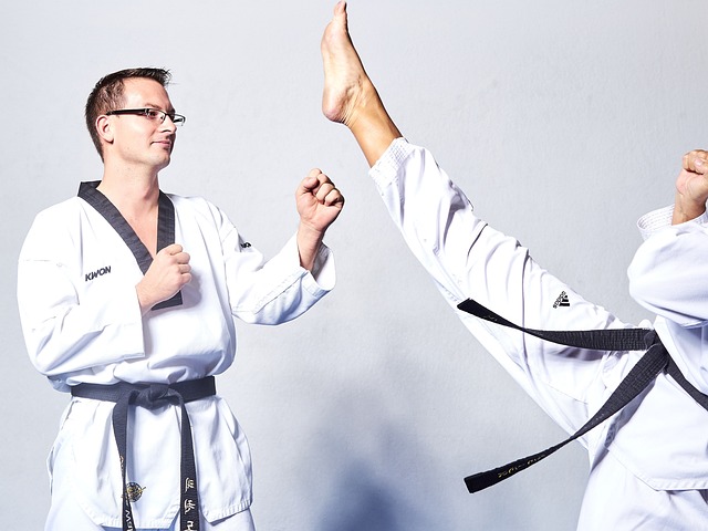 Taekwondo Class